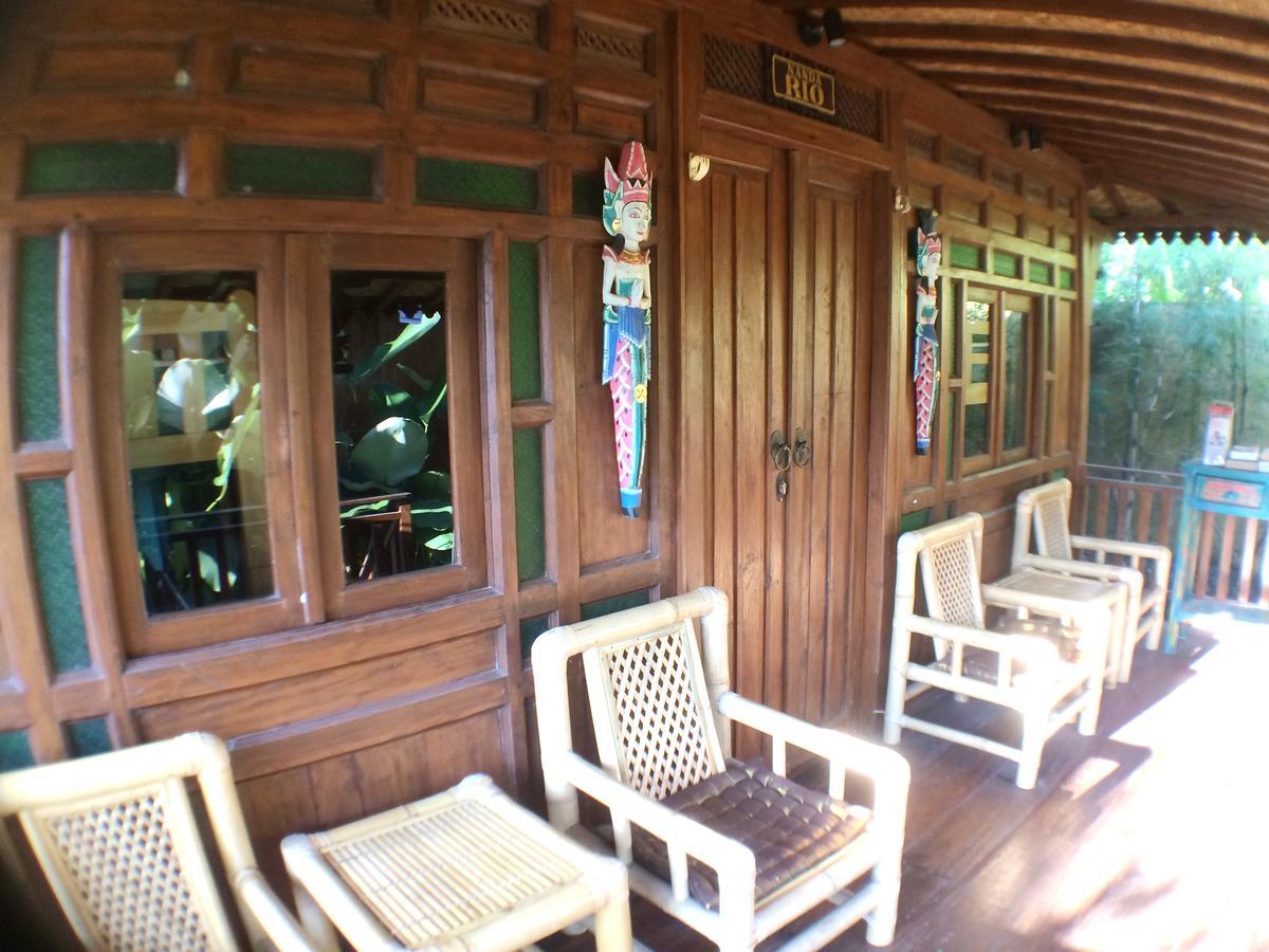 Green Paddy Hostel & Villa Ubud  Ngoại thất bức ảnh