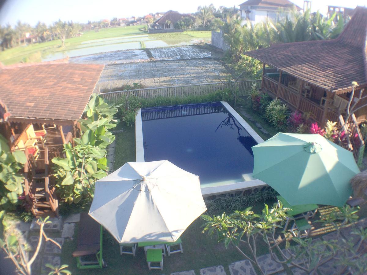 Green Paddy Hostel & Villa Ubud  Ngoại thất bức ảnh